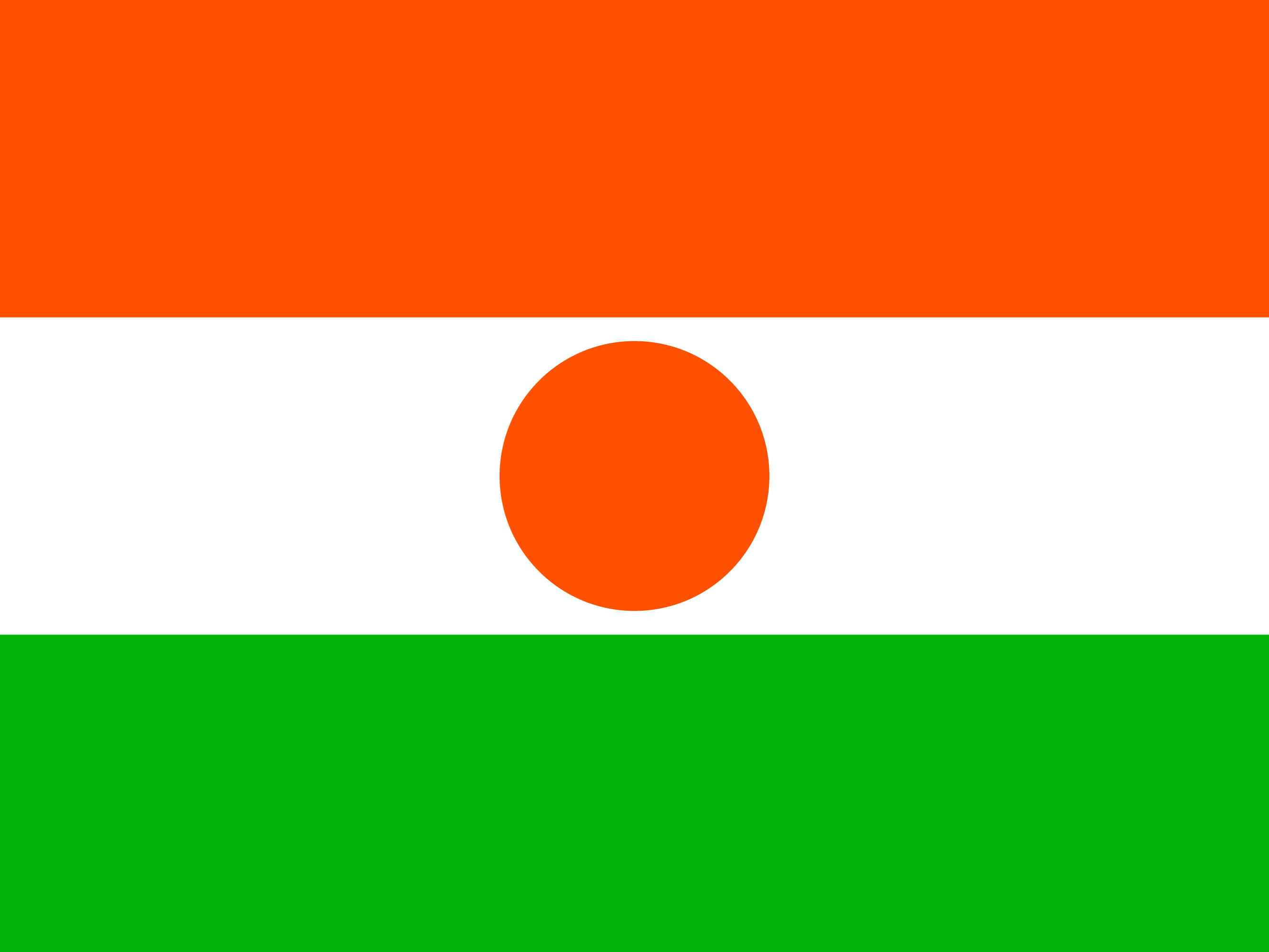 Niger flag