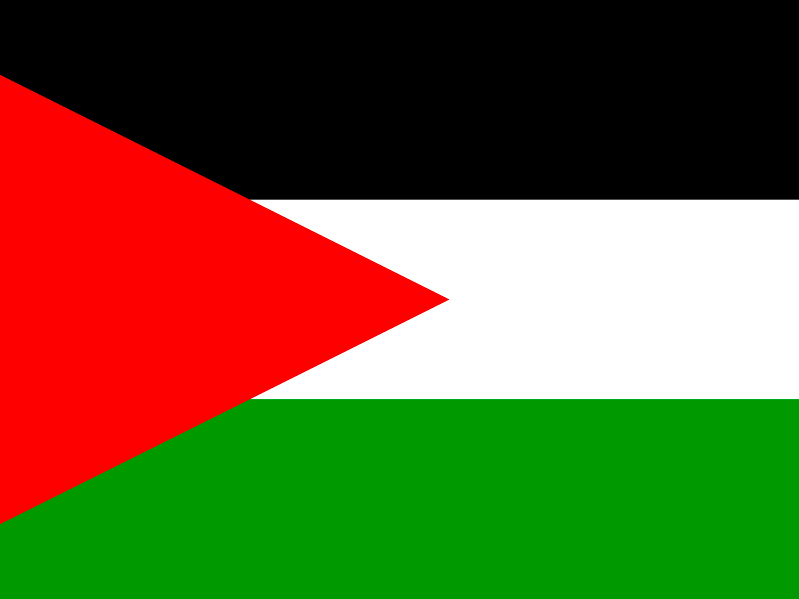 Palæstina flag